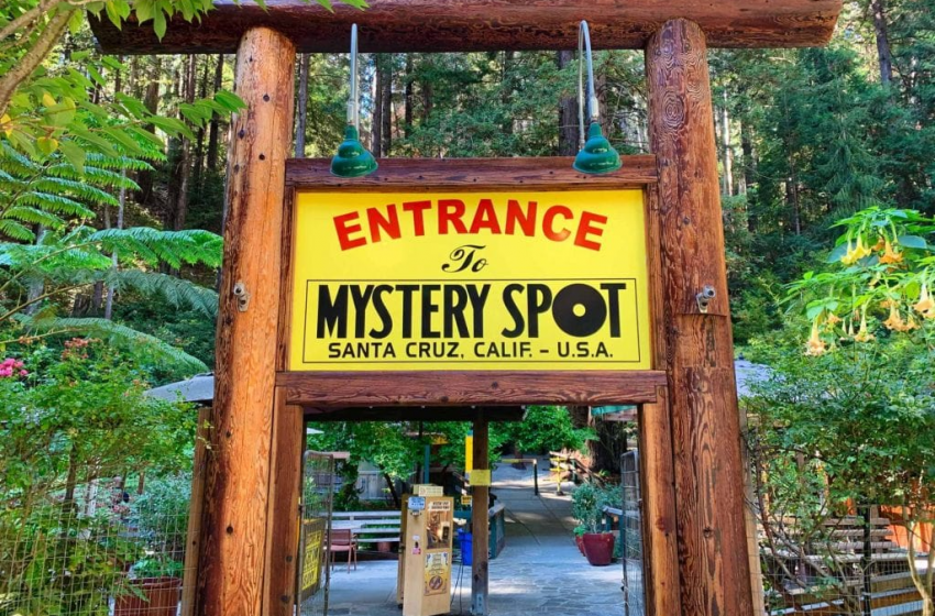 The Mystery Spot in Santa Cruz