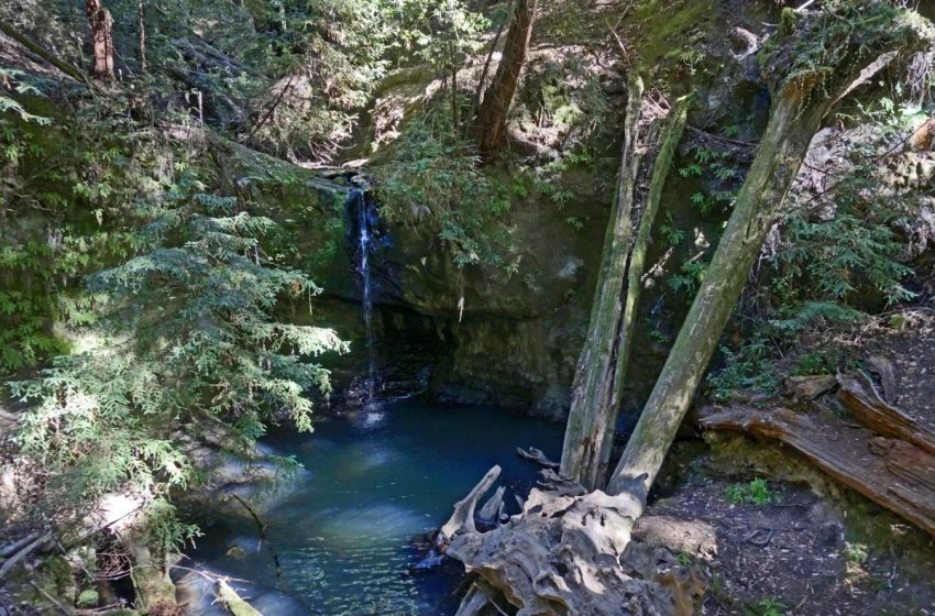 Big Basin Redwoods State Park Guide