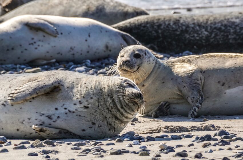Upcoming events in Santa Cruz